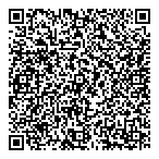QR код "Драный кот"