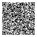 QR код "Flash mix"