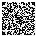 QR код "Flash mix"