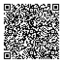 QR код "Блеск"