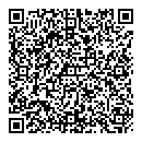 QR код "Мир"