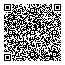 QR код "Эльф"