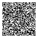 QR код "Барс"