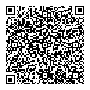 QR код "Блеск"