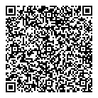 QR код "МИР"