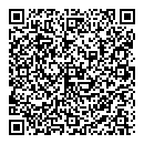 QR код "Сателлит"