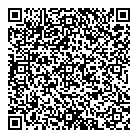 QR код "Solo"