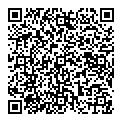 QR код "Fly"