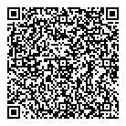 QR код "Дронго"