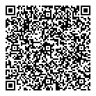 QR код "Профессионал"