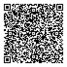 QR код "Аэлита"