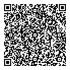 QR код "Мир шаров"