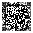 QR код "Спутник"
