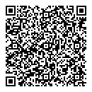 QR код "Ромашка"