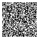 QR код "Professionals"