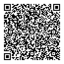 QR код "Глобус"