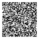 QR код "НЛОшка"