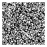 QR код "БлинБерри"