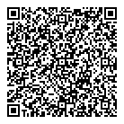 QR код "Спутник"