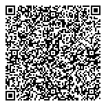 QR код "Профессионал"