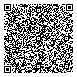 QR код "33 пингвина"