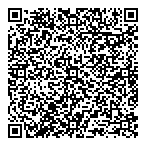 QR код "Паутина"