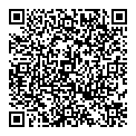 QR код "Blesk"