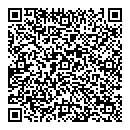 QR код "113"