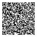 QR код "Циклон"