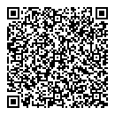 QR код "Арсенал"