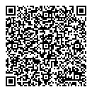 QR код "Disco"