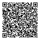 QR код "пЧёлка"