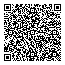 QR код "Спутник"