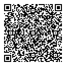 QR код "Блеск"