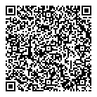 QR код "DNS"