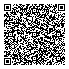QR код "Созвездие"