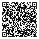 QR код "Рыжий кот"