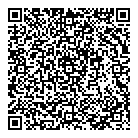 QR код "DNS"