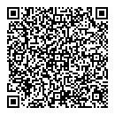 QR код "Domino"