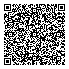 QR код "Lady N"