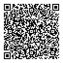 QR код "Алиса"