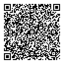 QR код "Мир"