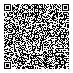 QR код "СТФ ДВТ"