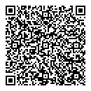 QR код "Спутник"