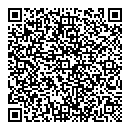 QR код "Мир"