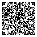 QR код "Шишки"