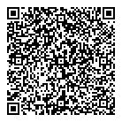 QR код "Иголочка"