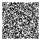 QR код "Соник"