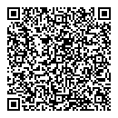 QR код "Matrix"