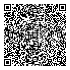 QR код "Сова"